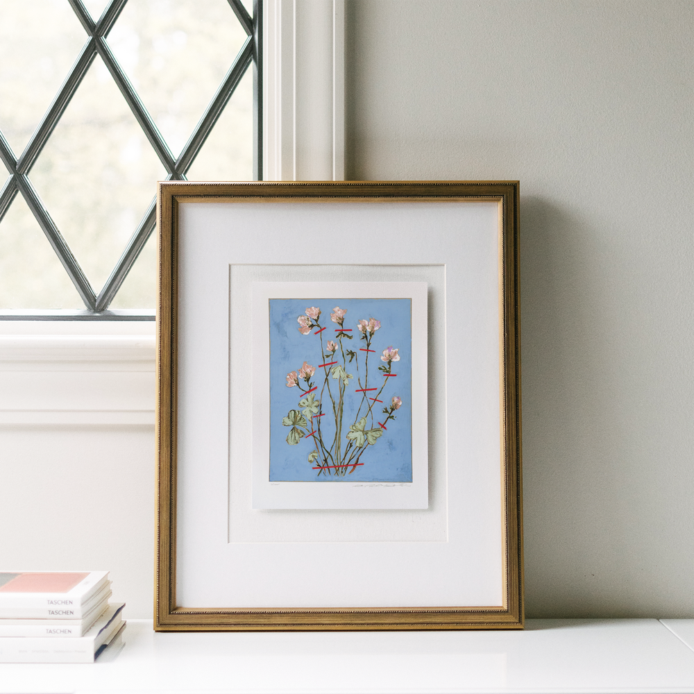 violet+wood+sorrel+1.png?